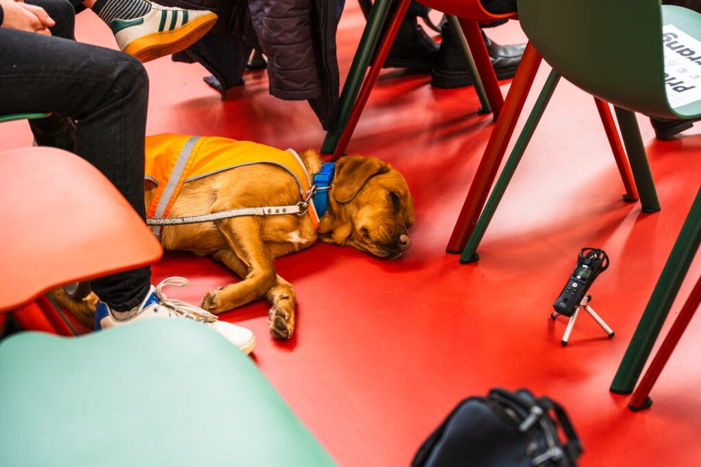 Un chien guide portant un harnais couché sagement sous une chaise pendant la conférence.